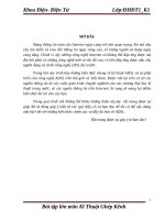 bài tập lớn môn kĩ thuật ghép kênh