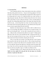 Nghiên cứu thực nghiệm khả năng giải độc kim loại nặng của chế phẩm Antitoxin có nguồn gốc thảo dược