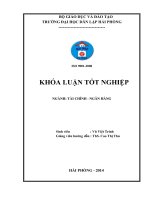 giải pháp nâng cao hiệu quả huy động vốn tại ngân hàng thương mại cổ phần công thương việt nam – chi nhánh hải phòng