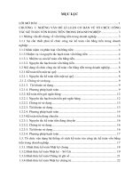 Hạch toán kế toán vốn bằng tiền tại công ty cổ phần Sivico ﻿