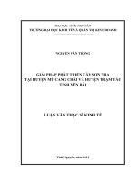 Giải pháp phát triển cây sơn tra tại huyện Mù Cang Chải và huyện Trạm Tấu tỉnh Yên Bái