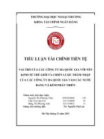 VAI TRÒ CỦA CÁC CÔNG TY ĐA QUỐC GIA VỚI NỀN KINH TẾ THẾ GIỚI VÀ CHIẾN LƯỢC THÂM NHẬP CỦA CÁC CÔNG TY ĐA QUỐC GIA VÀO CÁC NƯỚC ĐANG VÀ KÉM PHÁT TRIỂN
