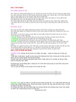 Cách chơi đàn guitar and orang