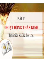 bài giảng Tự nhiên và Xã hội LỚP 3 bài 13 hoạt động thần kinh
