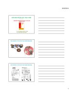 Kiểm định nguồn gốc thị và các sản phẩm từ thịt