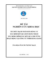 tổ chức hạch toán bán hàng và xác định kết quả bán hàng nhằm xác định chính xác kết quả cho từng hoạt động tại công ty tnhh hằng giang
