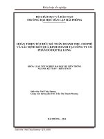 Hoàn thiện tổ chức kế toán doanh thu, chi phí và xác định kết quả kinh doanh tại Công ty cổ phần đồ hộp Hạ Long