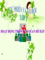 bài giảng tnxh 3 bài 1 hoạt động thở và cơ quan hô hấp