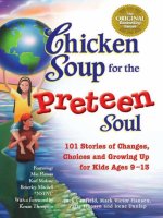 chicken soup for the preteen soul