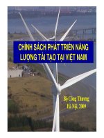 Chính sách phát triển năng lượng tái tạo tại việt nam
