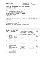 Giáo án thực hành về cây lúa