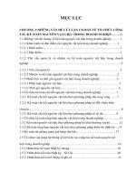 một số giải pháp về kế toán nguyên vật liệu nhằm nâng cao hiệu quả công tác quản lý nguyên vật liệu tại công ty cổ phần công nghiệp nhựa phú lâm