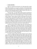 Vai trò của pháp luật trong quản lí nhà nước đối với lĩnh vực bảo vệ rừng ở Việt Nam hiện nay