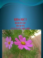 bài giảng khoa học 5 bài 69 ôn tập môi trường và tài nguyên thiên nhiên
