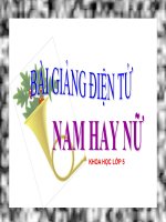 bài giảng khoa học 5 bài 2 nam hay nữ