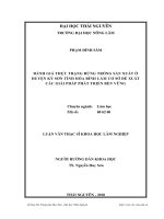 đánh giá thực trạng rừng trồng sản xuất ở huyện kỳ sơn tỉnh hòa bình làm cơ sở đề xuất các giải pháp phát triển bền vững