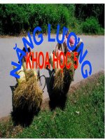 bài giảng khoa học 5 bài 40 năng lượng