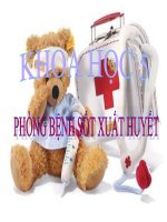 bài giảng khoa học 5 bài 13 phòng bệnh sốt xuất huyết