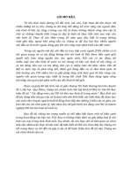 Tác động tràn của FDI tới khu vực kinh tế trong nước