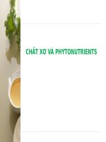 Chất xơ và các dưỡng chất từ thực vật (phytonutrients) quan trọng với sức khỏe như thế nào.