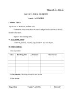 unit 2 cutural diversity giáo án tiếng anh 12