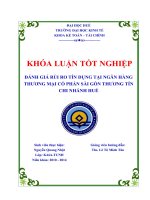 đánh giá rủi ro tín dụng tại ngân hàng thương mại cổ phần sài gòn thương tín chi nhánh huế