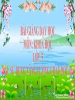 bài giảng khoa học 5 bài 43 sử dụng năng lượng chất đốt (tt)