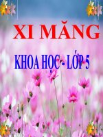 bài giảng khoa học 4 bài 28 bảo vệ nguồn nước