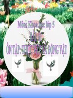 bài giảng khoa học 5 bài 61 ôn tập động vật và thực vật