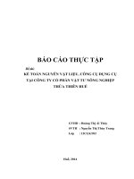 kế toán nguyên vật liệu, công cụ dụng cụ tại công ty cổ phần vật tư nông nghiệp thừa thiên huế