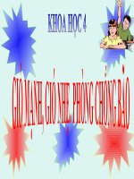 bài giảng khoa học 4 bài 38 gió nhẹ, gió mạnh, phòng chống bão