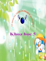 bài giảng khoa học 5 bài 48 an toàn và tránh lãng phí khi sử dụng điện