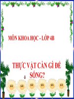 bài giảng khoa học 4 bài 57 thực vật làm gì để sống