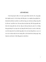 Luật đầu tư ở việt nam, quá trình hình thành và hoàn thiện