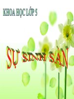 bài giảng khoa học 5 bài 1 sự sinh sản