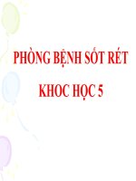 bài giảng khoa học 5 bài 12 phòng bệnh sốt rét