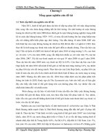 một số giải pháp hạn chế ảnh hưởng của suy thoái kinh tế tới kinh doanh xuất khẩu gạch ngói của công ty cổ phần viglacera hạ long sang thị trường các nước châu á