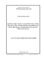 đánh giá thực trạng và giải pháp tăng cường hiệu quả của công tác bồi thường giải phóng mặt bằng trên địa bàn thành phố tuyên quang – tỉnh tuyên quang