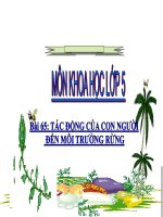 bài giảng khoa học 5 bài 65 tác động của con người đến môi trường rừng