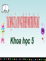 bài giảng khoa học 5 bài 66 tác động của con người đến môi trường đất