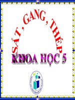 bài giảng khoa học 5 bài 23 sắt, gang, thép