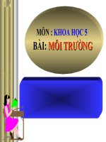 bài giảng khoa học 5 bài 62 môi trường