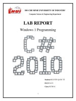 Windows 1 Programming