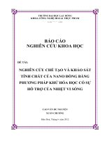 nghiên cứu chế tạo và khảo sát tính chất của nano đồng bằng phương pháp khử hóa học có sự hỗ trợ của nhiệt vi sóng