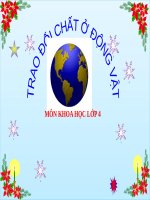 bài giảng khoa học 4 bài 64 trao đổi chất ở động vật