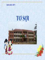 bài giảng khoa học 5 bài 32 tơ sợi