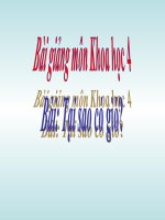 bài giảng khoa học 4 bài 37 tại sao có gió