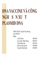 báo cáo dna vaccine và công nghệ sản xuất plasmid dna