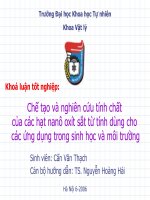 chế tạo và nghiên cứu tính chất của các hạt nanô oxít sắt từ tính dùng cho các ứng dụng trong sinh học và môi trường