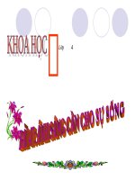 bài giảng khoa học 4 bài 47 ánh sáng cần cho sự sống